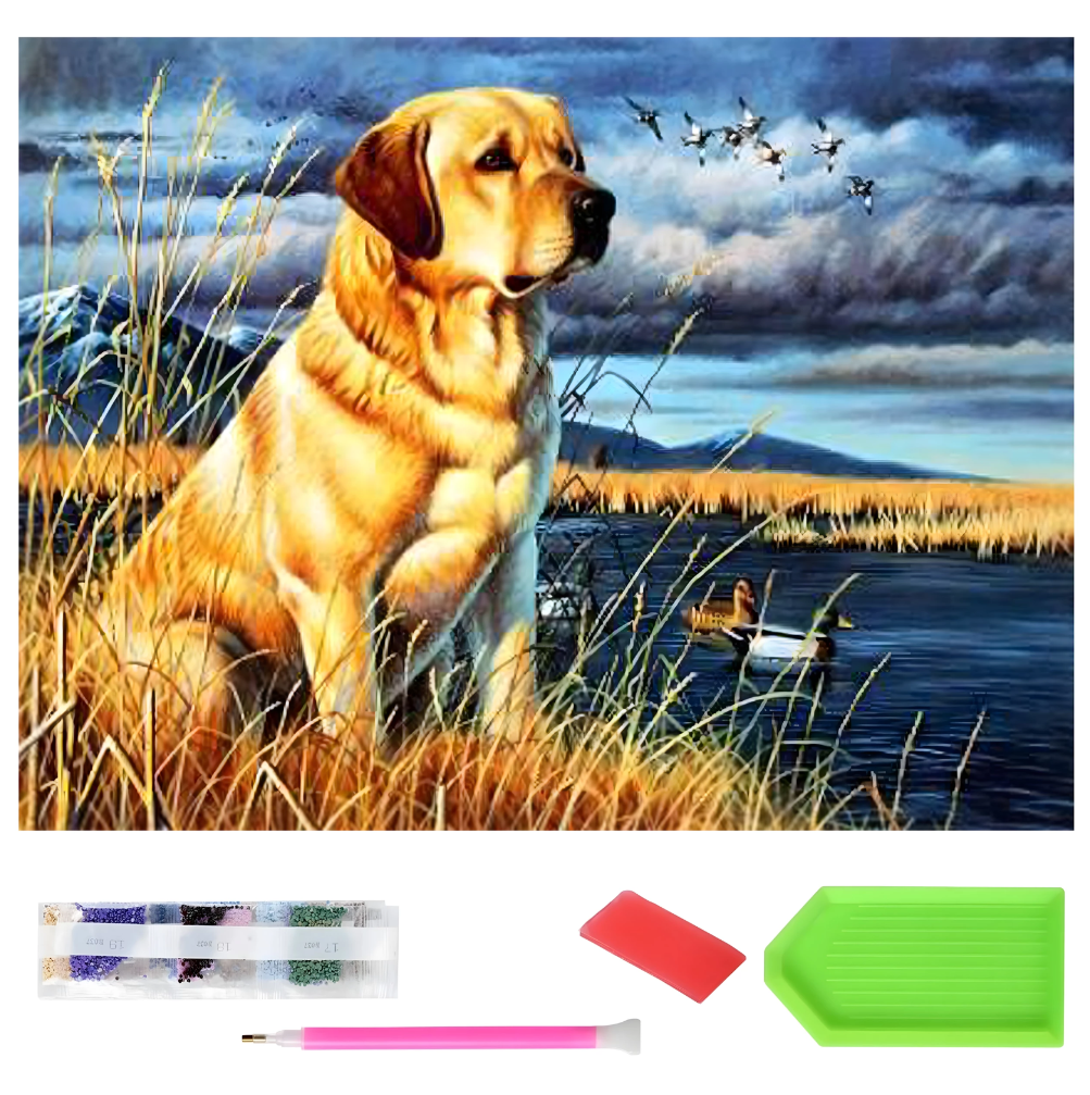 ab175a74da115722ef8691f9cae17ee3 ab175a74da115722ef8691f9cae17ee3